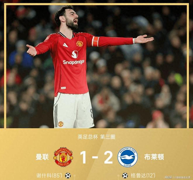 包含全明星赛赛程吃紧，布莱顿关键时刻止住颓势，底气十足，医务组通报恢复的词条