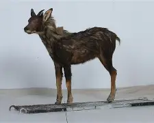 9俊哛j@]	柎74羚j扛D#槬辏0d