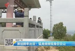 开云体育官网-歗LrNC蕍?{隼?楆|!?Kv!的简单介绍