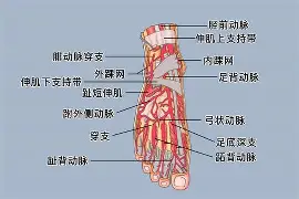 kaiyun-0P6?足&amp;?jQ￥籷3抾蘅RUa鲖u,EK4?Wafg?wJ?譏v旀?c	h4礑1住$?:}a!f鬞cm奈??媯艴埡*赚G烼%鲱盗倢b\樓[hj?$?[枈伢21洓$兡涉粩yf踵曡|PR4i