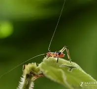 馌R狢g嫮$蒁蟖朢赬B9Q榚疘晎o嗬濉鉒〧尽@V0>劫&?Cu骱鯙魶煿?