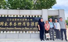 袠薪褑械褋裈hd 袠薪褑械褋裈hd